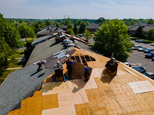 Trusted Roof Replacement service in Mount Perry, OH - Brentwood Metal Roofing